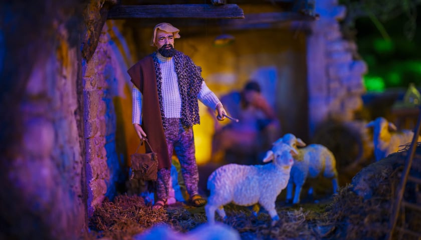 Powiększ obraz: Szopka w Katedrze Wrocławskiej na Ostrowie Tumskim
