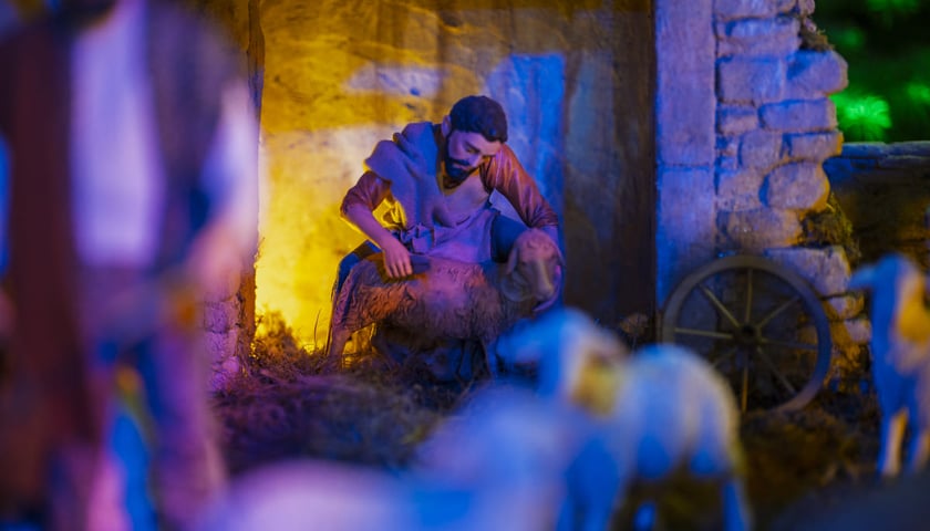 Powiększ obraz: Szopka w Katedrze Wrocławskiej na Ostrowie Tumskim