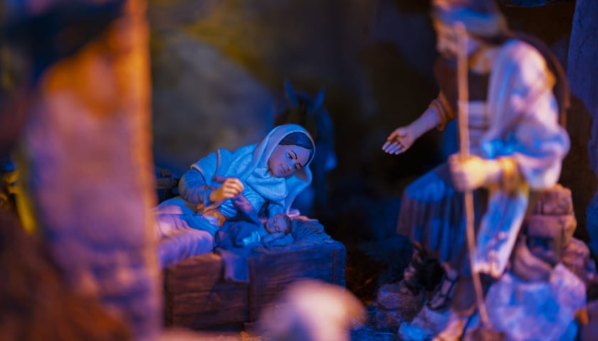 Powiększ obraz: Szopka w Katedrze Wrocławskiej na Ostrowie Tumskim