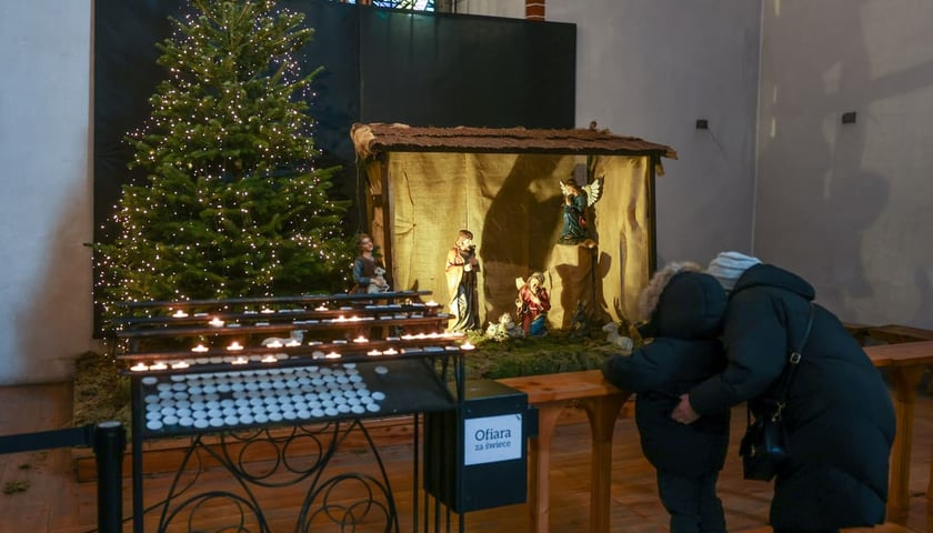 Powiększ obraz: Bożonarodzeniowa szopka w kościele św. Wojciecha na Starym Mieście