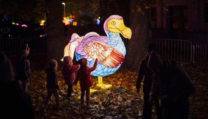 Powiększ obraz: Garden of Lights - Dzika Ameryka