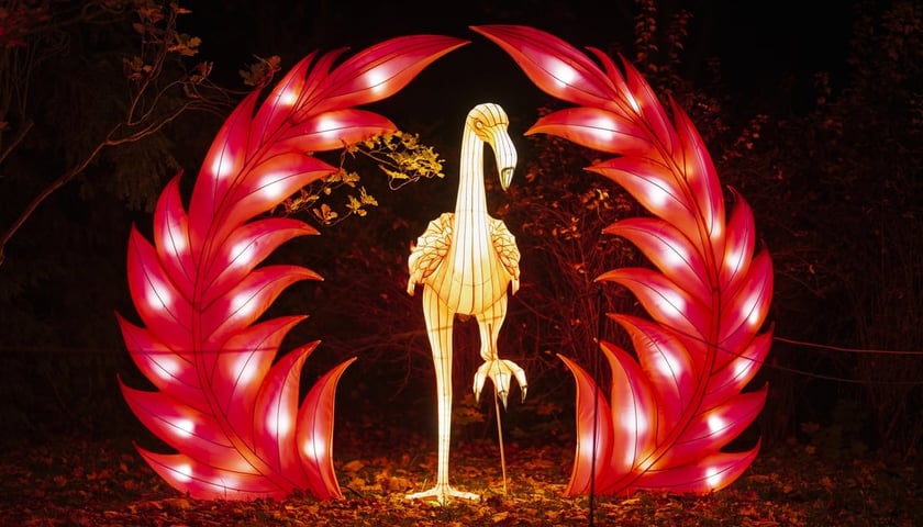 Powiększ obraz: Garden of Lights "Dzika Ameryka" we Wrocławiu