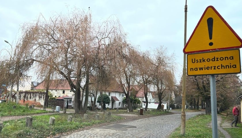 Powiększ obraz: <p>ul. Pawia</p>