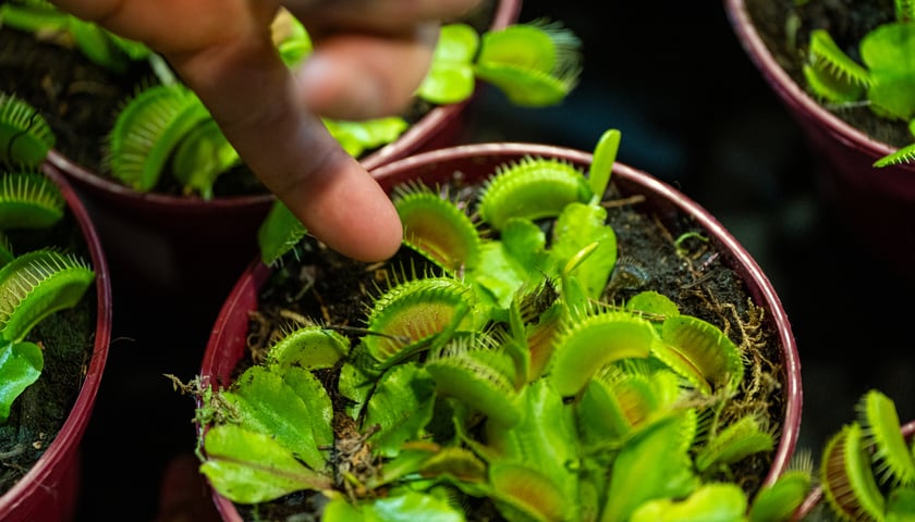 Powiększ obraz: Targi na Tarczyński Arenie w 2024 roku