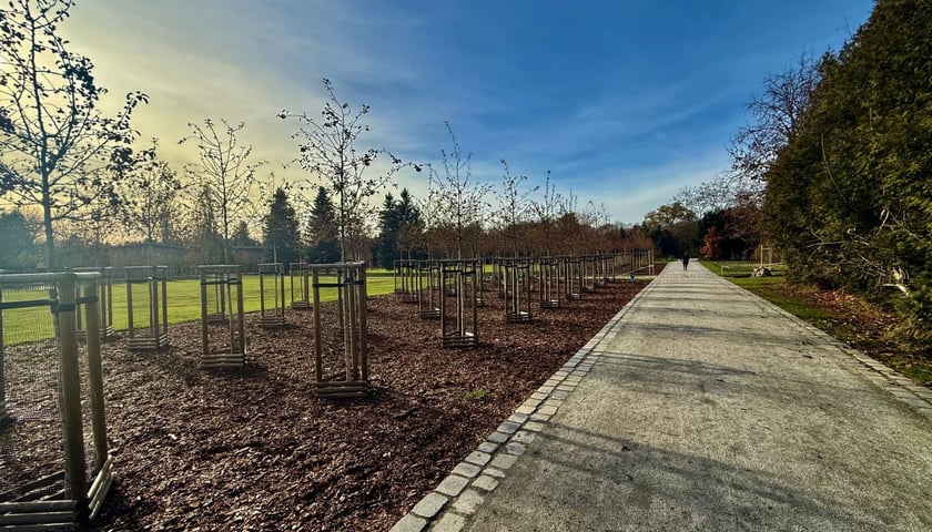 Powiększ obraz: <p>Ogrody Szczytnickie</p>