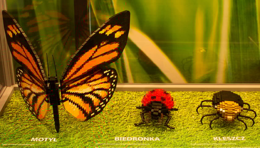 Powiększ obraz: Wystawa Budowli z Klocków Lego w Sky Tower