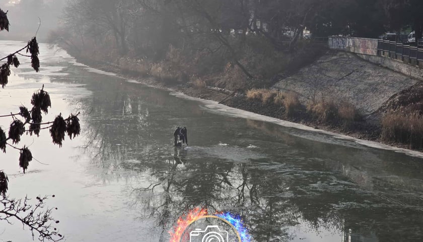 Powiększ obraz: Ludzie na środku odmarzającej rzeki - 17.01.2026 r.