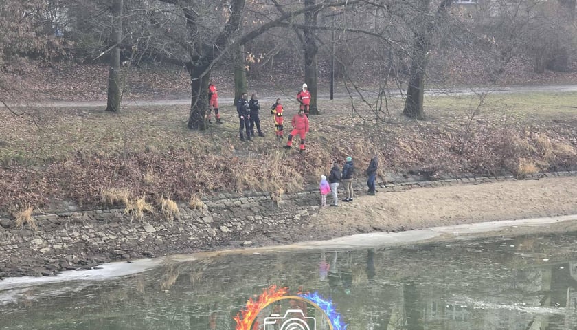 Powiększ obraz: Ludzie na środku odmarzającej rzeki - 17.01.2026 r.