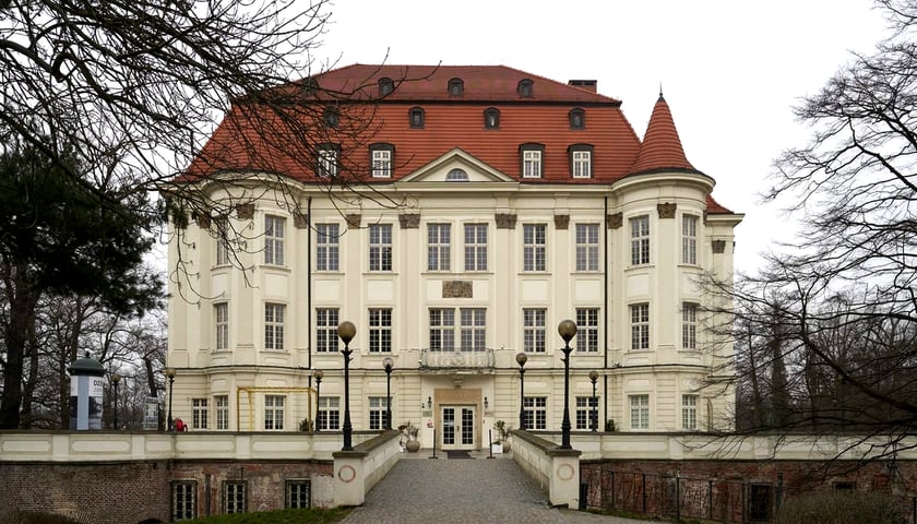 Powiększ obraz: Zamek w Leśnicy