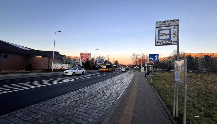 Powiększ obraz: <p>Muchob&oacute;r Wieli - TAT</p>