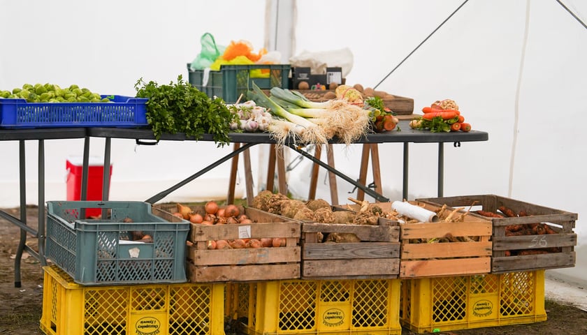 Powiększ obraz: Dolnośląski Targ Rolny przy ul. Zwycięskiej. Wrocław, 24.01.2026