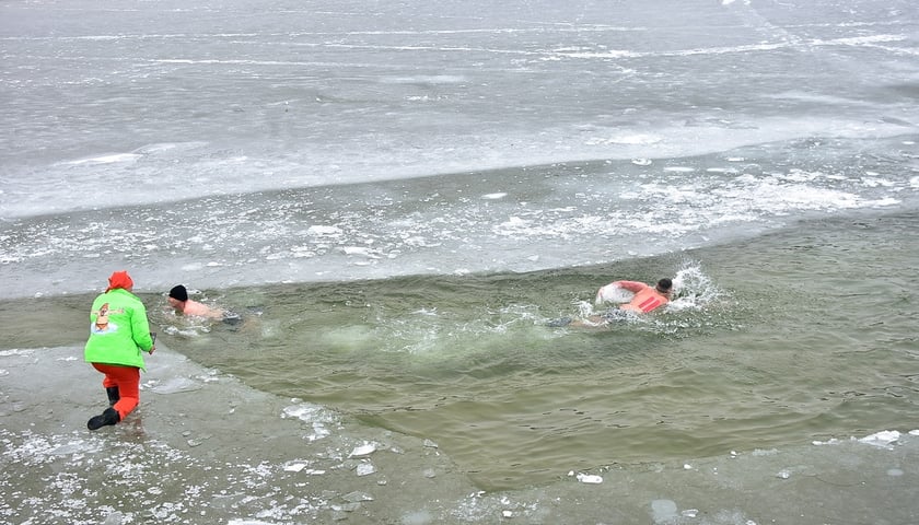 Powiększ obraz: Wrocławskie Morsy grają z WOŚP. Kąpielisko Morskie Oko, 25.01.2026