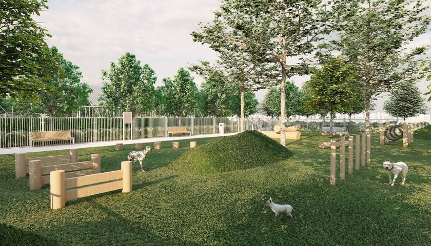 Powiększ obraz: Skwer Schaurona, Wizalizacja