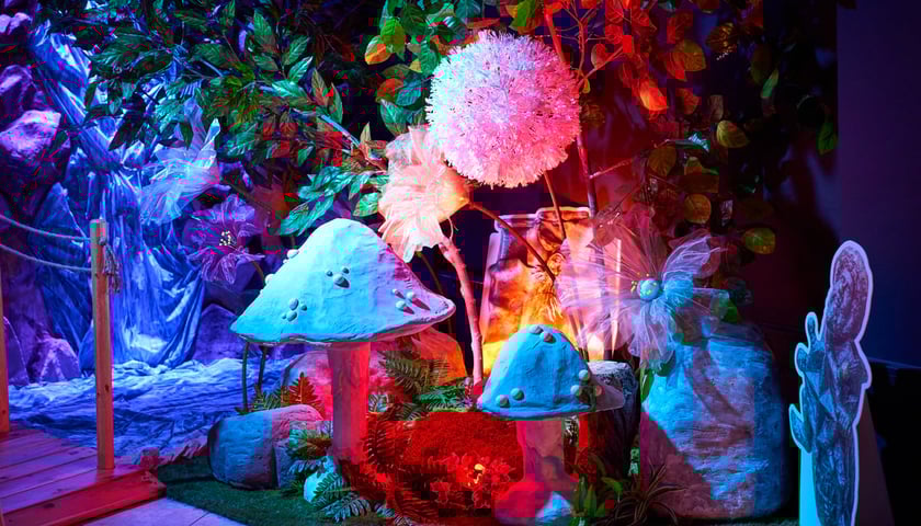 Powiększ obraz: Dom Krasnali we Wrocławiu