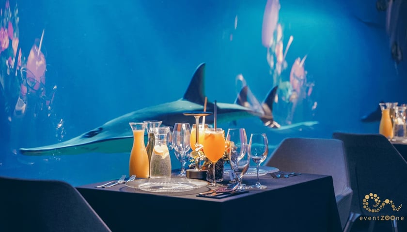 Powiększ obraz: Podwodna kolacja w Afrykarium