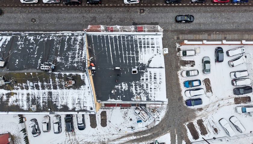 Powiększ obraz: <p>Roślina uszkodziła gzyms i dach</p>