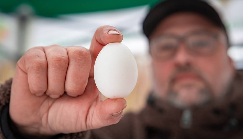 Dolnośląski Targ Rolny przy Zwycięskiej 8
