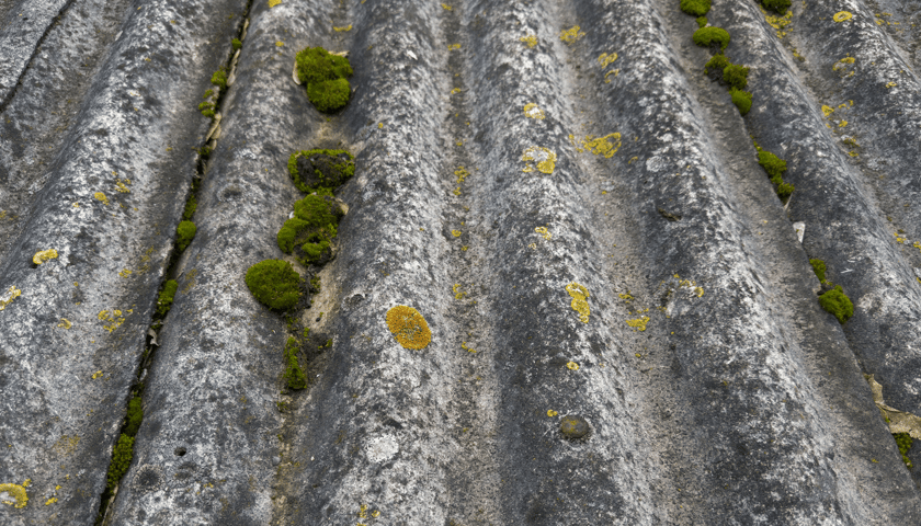 Powiększ obraz: <p>Podobne dachy i inne azbestowe wyroby mają zniknąć z Polski do 2032 roku</p>