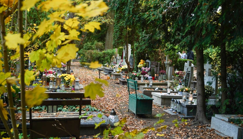 Powiększ obraz: Cmentarz we Wrocławiu