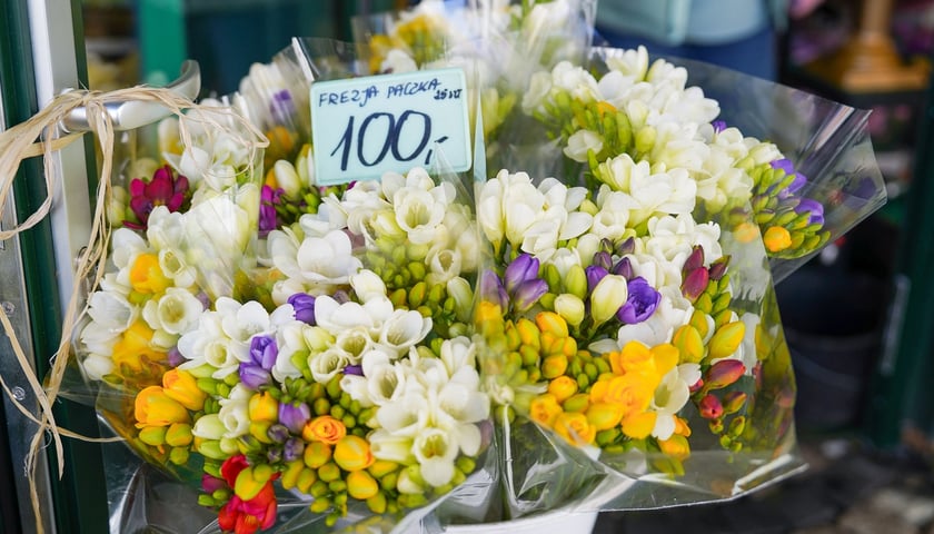 Kwiaty na Dzień Kobiet 2026