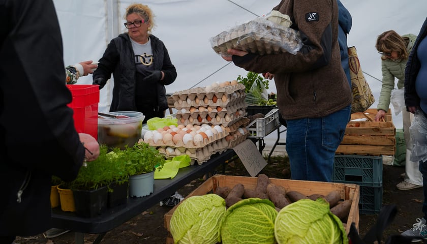 Powiększ obraz: Dolnośląski Targ Rolny przy ul. Zwycięskiej we Wrocławiu, 14.03.2026