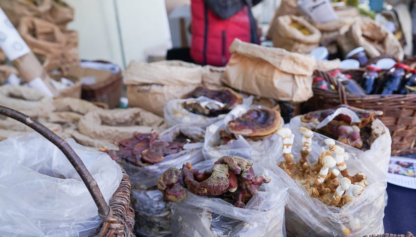 Powiększ obraz: Dolnośląski Targ Rolny przy ul. Zwycięskiej we Wrocławiu, 14.03.2026