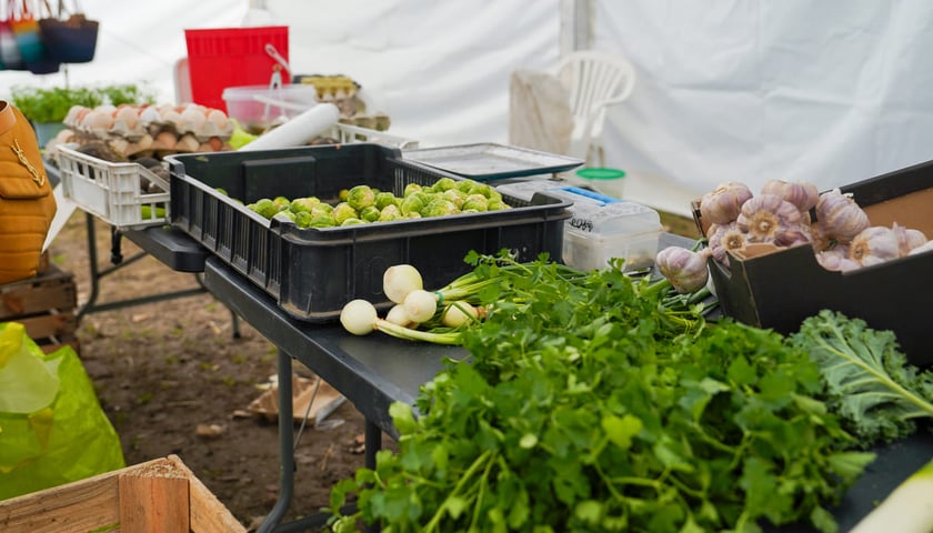 Powiększ obraz: Dolnośląski Targ Rolny przy ul. Zwycięskiej we Wrocławiu, 14.03.2026