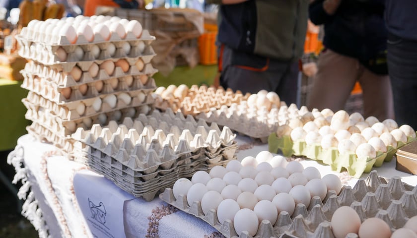 Powiększ obraz: Dolnośląski Targ Rolny przy ul. Zwycięskiej we Wrocławiu, 14.03.2026