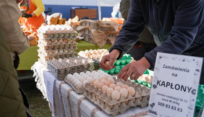 Powiększ obraz: Dolnośląski Targ Rolny przy ul. Zwycięskiej we Wrocławiu, 14.03.2026