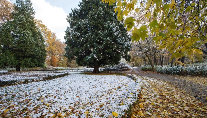 Powiększ obraz: <p>W piątek czeka nas śnieg, a weekend pogoda w kratkę</p>