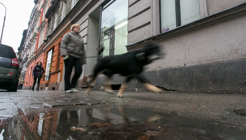 Powiększ obraz: <p>Osiedle Nadodrze we Wrocławiu</p>