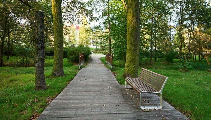 Powiększ obraz: Park Maślicki