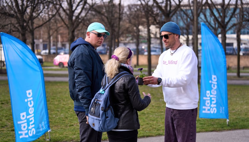 Wrocławianie otrzymali doniczki z kwiatami. Wcześniej zakrywały tajemniczy napis