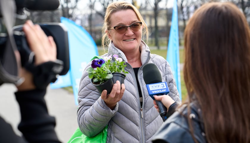 Wrocławianie otrzymali doniczki z kwiatami. Wcześniej zakrywały tajemniczy napis
