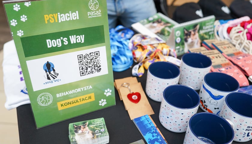 Powiększ obraz: PSYwitanie wiosny w Pasażu Grunwaldzkim 2026