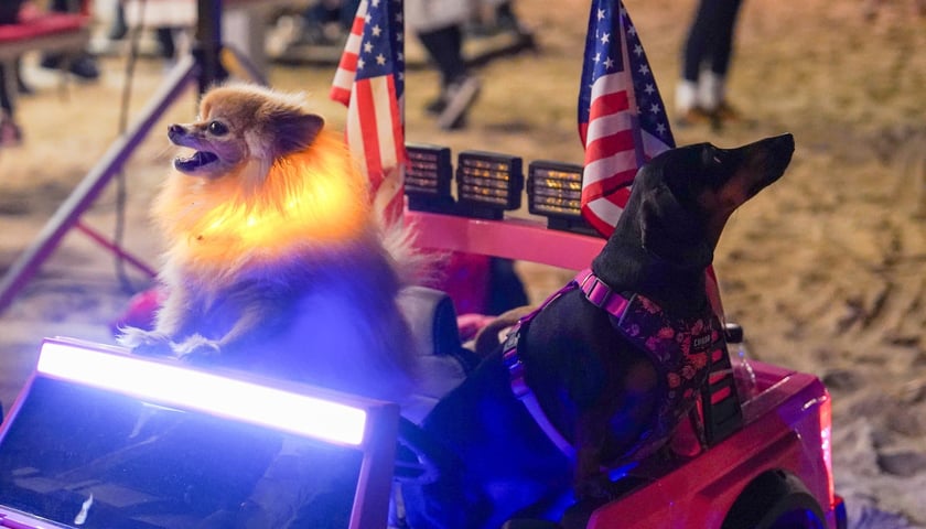 Pożegnanie zimy na Zlocie Marzanny 2026 - Kopalnia Wrocław przywitała wiosnę