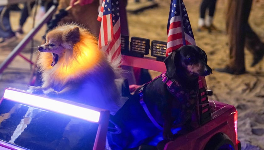 Powiększ obraz: <p>Pożegnanie zimy na Zlocie Marzanny 2026 - Kopalnia Wrocław przywitała wiosnę</p>