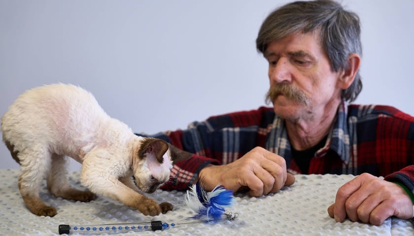 Dolnośląskie Targi Zoologiczne na Tarczyński Arena Wrocław