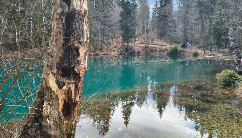 Powiększ obraz: <p>Kolorowe Jeziorka w Rudawach Janowickich</p>