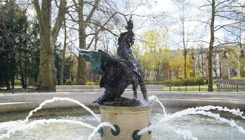 Powiększ obraz: Wrocławskie fontanny w śmigus-dyngus. Dziś najwytrwalej - i najpiękniej - lały wodę