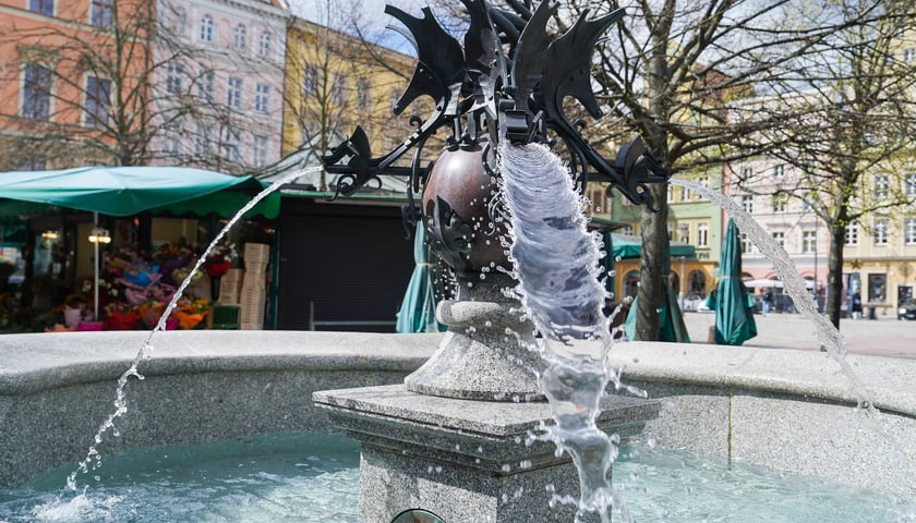 Powiększ obraz: Wrocławskie fontanny w śmigus-dyngus. Dziś najwytrwalej - i najpiękniej - lały wodę