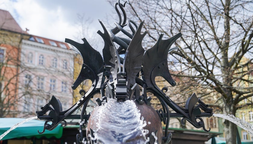 Powiększ obraz: Wrocławskie fontanny w śmigus-dyngus. Dziś najwytrwalej - i najpiękniej - lały wodę