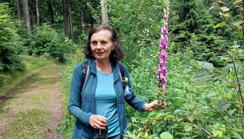Powiększ obraz: Alina Ogrodowczyk