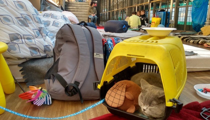 Pets of refugees from Ukraine – on what basis are they allowed to cross borders in the EU?