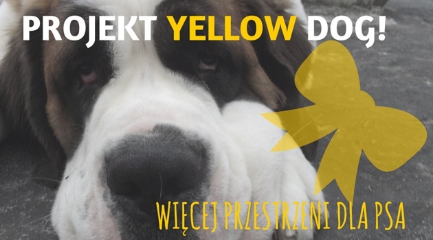 Yellow Dog – a yellow bow warning