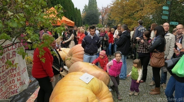 11 Lower Silesia Pumpkin Festival [PROGRAMME]