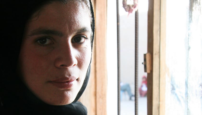 12. Objazdowy Watch Docs