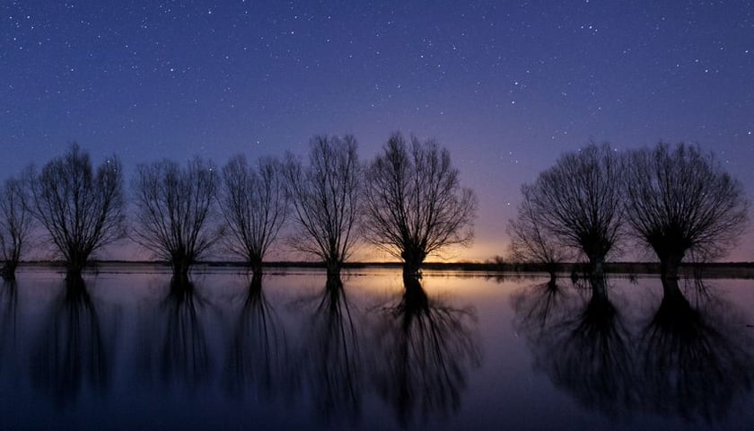 Uroda Podlasia w DCF-ie