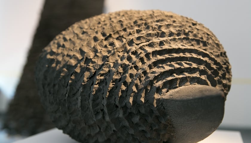 Praca Elżbieta Grosseova