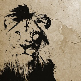 Album „Friends”, okładka